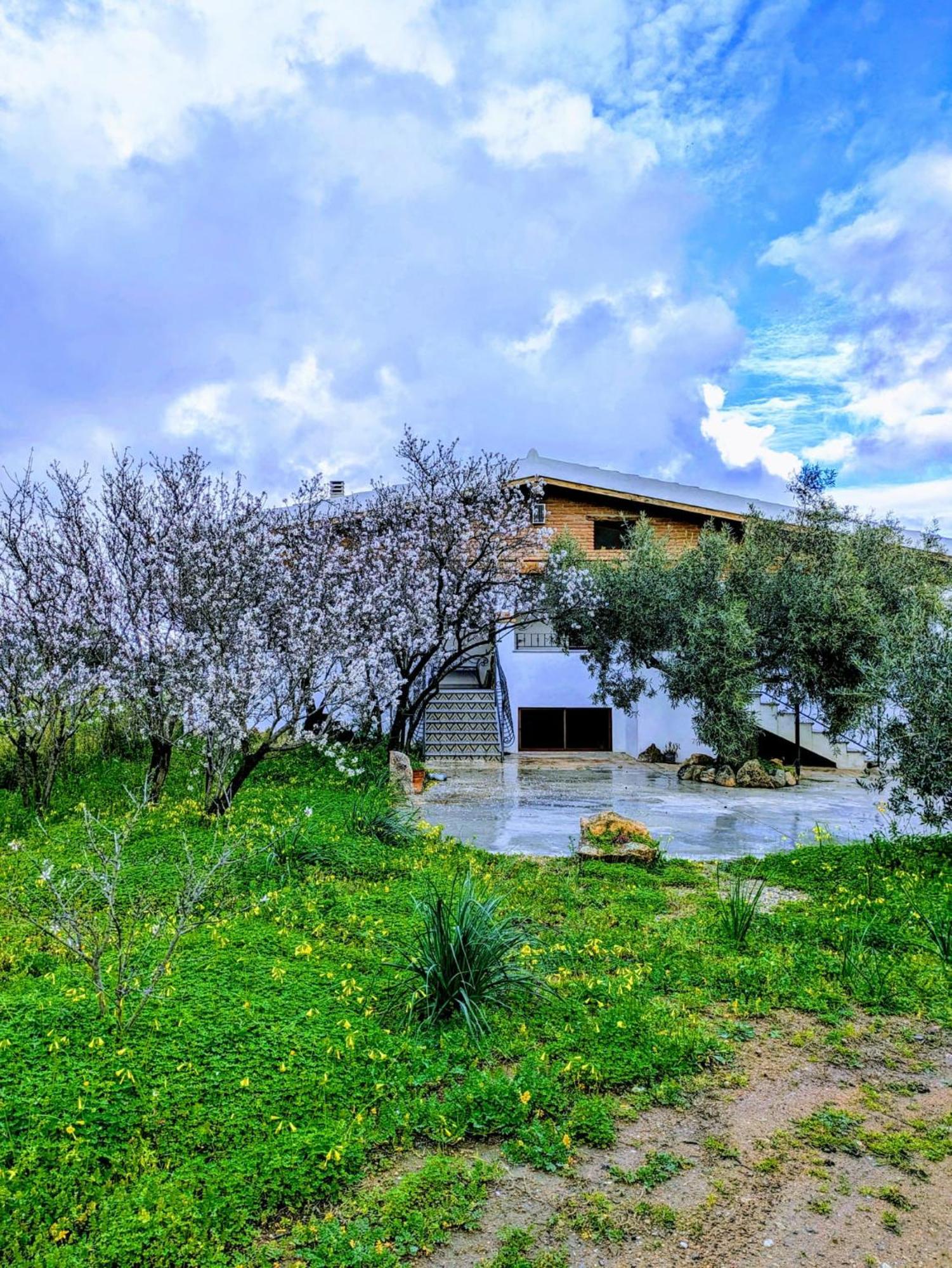 Agriturismo "Pirastreri" Siniscola Exterior photo